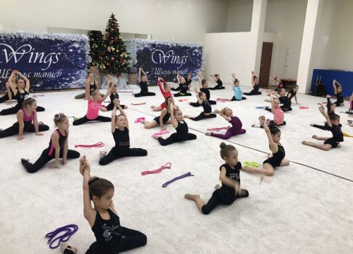 +79857700496 звонок из Вингс