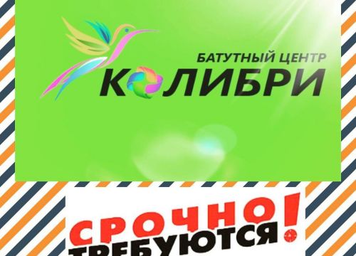 +79858040033 звонок из Колибри