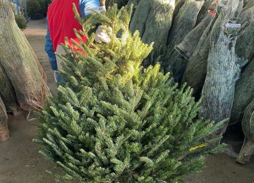 +79858200301 звонок из Склад самовывоза Elki-Eli.com