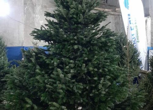 +79858200301 звонок из Склад самовывоза Elki-Eli.com