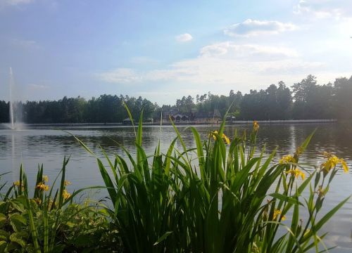 +79859971009 звонок из Коттеджный поселок Довиль