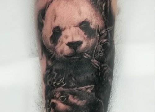 +79872592329 звонок из Тату mone