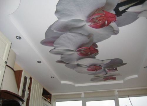 +79874222656 звонок из Квадра