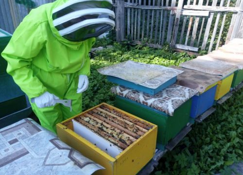 +79875210394 звонок из Пасека на Лесной поляне