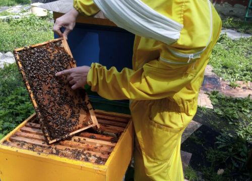 +79875210394 звонок из Пасека на Лесной поляне