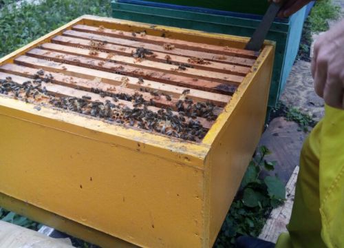 +79875210394 звонок из Пасека на Лесной поляне