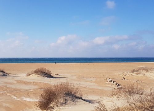 +79880880001 звонок из Тортуга