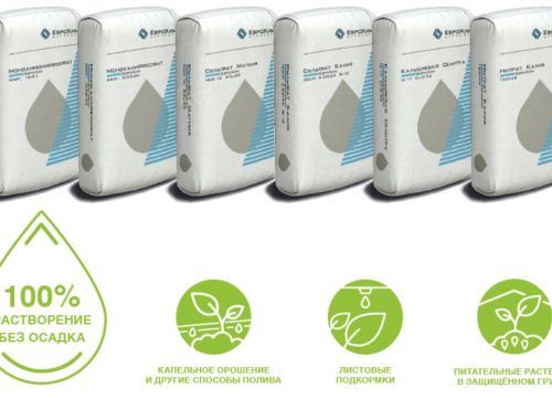 +79881011738 звонок из Кесария - умное земледелие