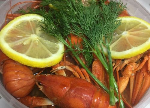 +79883130313 звонок из Раки