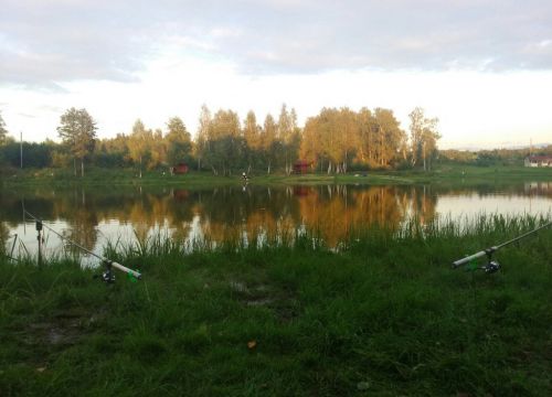 +79883433736 звонок из Мосфишер