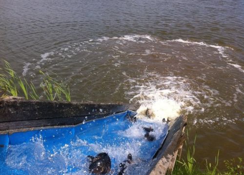 +79883433736 звонок из Мосфишер