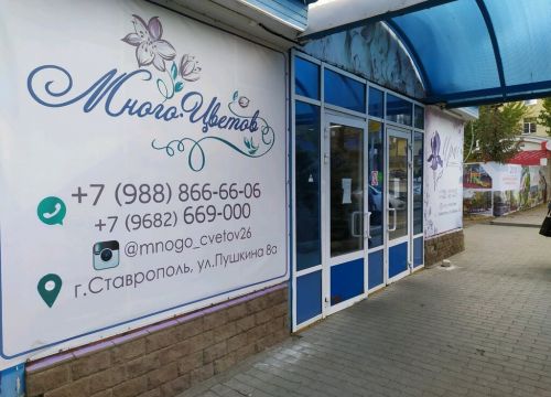 +79888666606 звонок из Много цветов