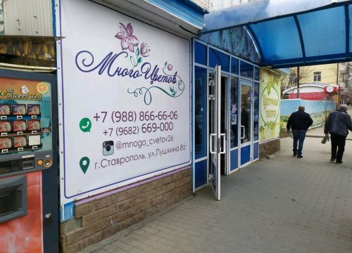 +79888666606 звонок из Много цветов