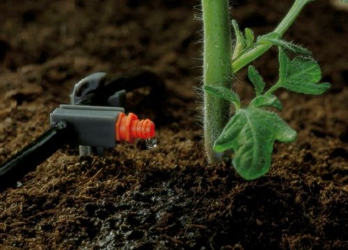 +79888958205 звонок из Лейка