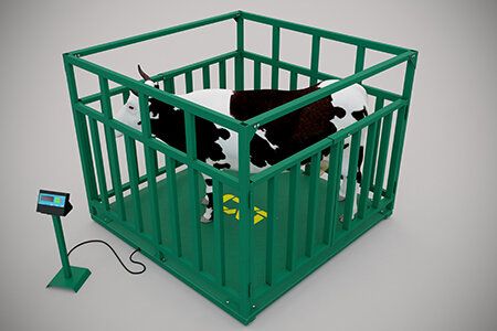 +79889991999 звонок из Торговый дом СХТ