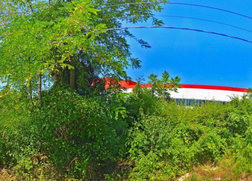 +79890850215 звонок из Сочикотлы.рф