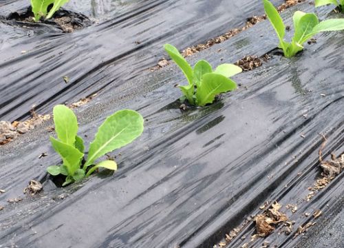 +79892667299 звонок из Весна