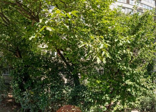 +79898161630 звонок из Саморегулируемая организация