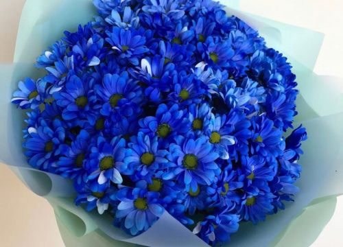 +79913045206 звонок из Татьнин День