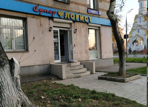 +79913045206 звонок из Татьнин День