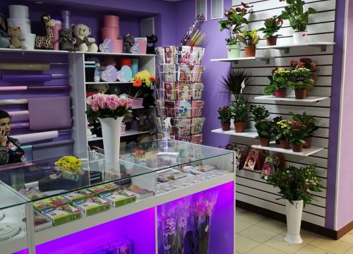+79951025048 звонок из Цветторг 48