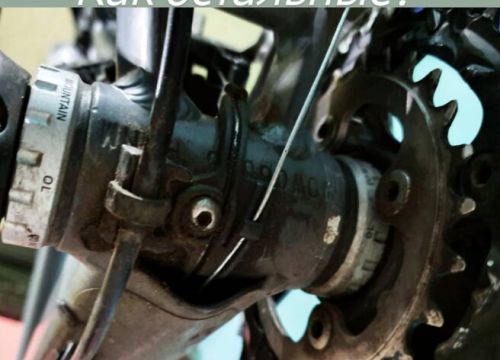 +79951121251 звонок из Veloservice