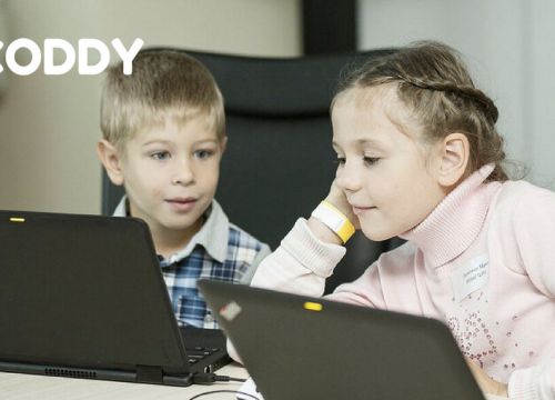 +79952291484 звонок из Coddy