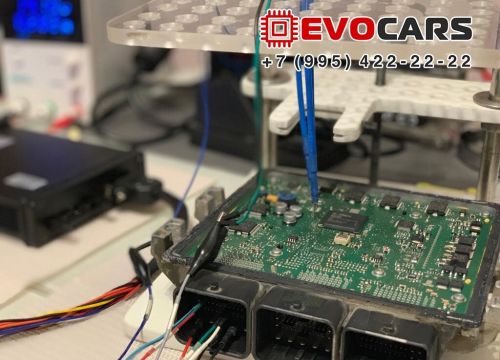 +79954222222 звонок из Evocars