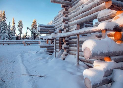 +79961122160 звонок из Карельский сухарник