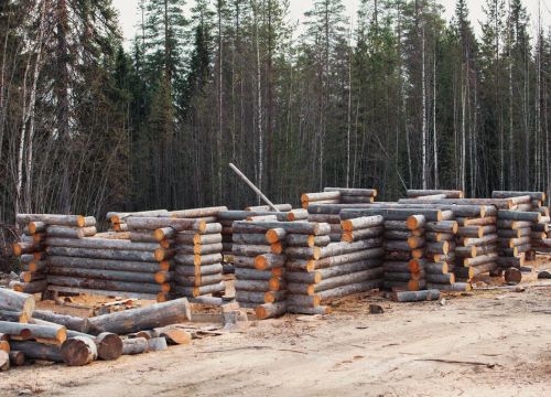 +79961122160 звонок из Карельский сухарник