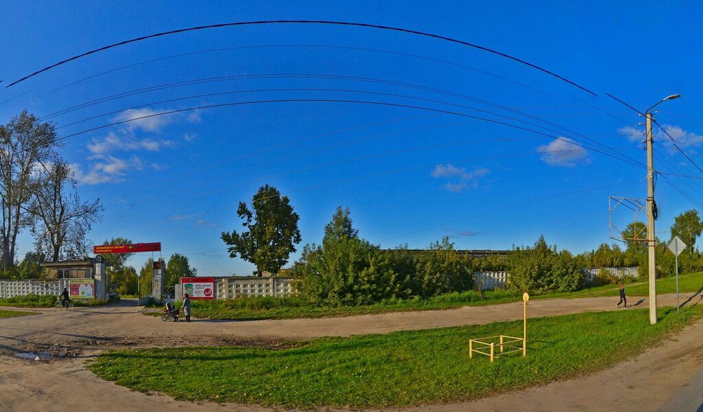 терем пришлецова. светофорный столб. светофор гороховец. гороховец дом купцов ширяевых. светофор гороховец.