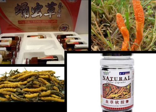 +79964239582 звонок из Целебные Силы Востока