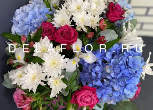 +79994642228 звонок из Delaflor Армавир