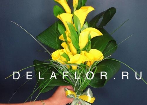 +79994642228 звонок из Delaflor Армавир
