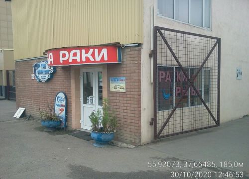 +79998080838 звонок из Три капитана