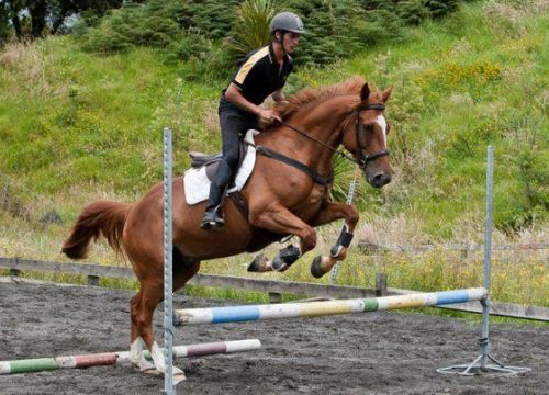 +79998441339 звонок из Конно-спортивный комплекс Успенская конница