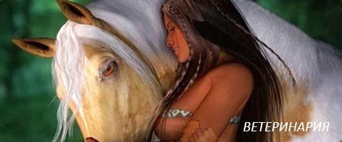 +79998441339 звонок из Конно-спортивный комплекс Успенская конница