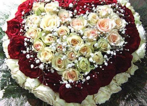 +79998661915 звонок из Цветы