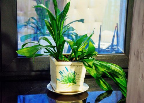 +79998830094 звонок из Real Businessman