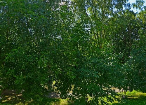 +79999640496 звонок из Рюкзаки для любимых мам